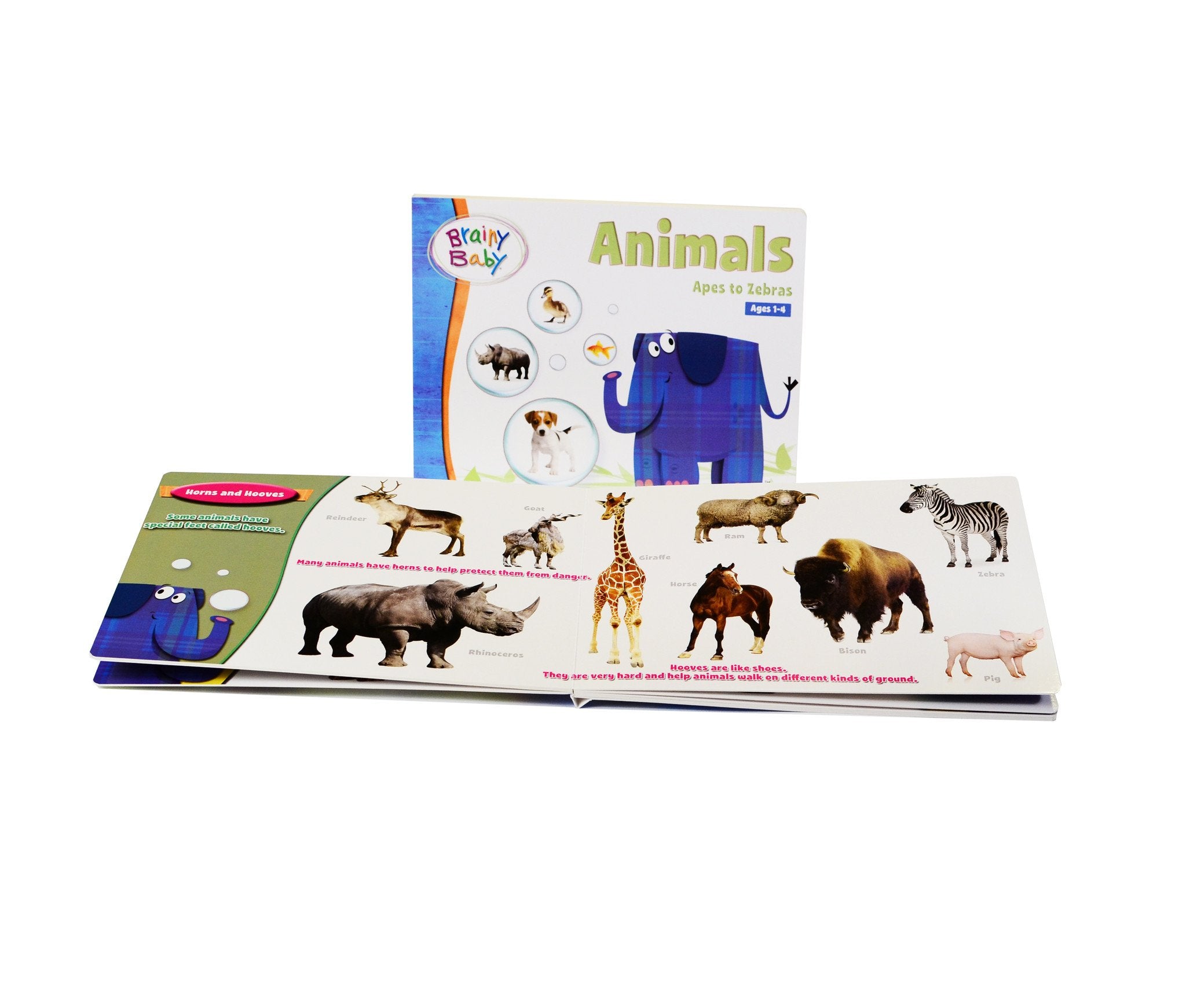Brainy Baby Animals Board Book for Preschool Children Apes to Zebras Deluxe Edition