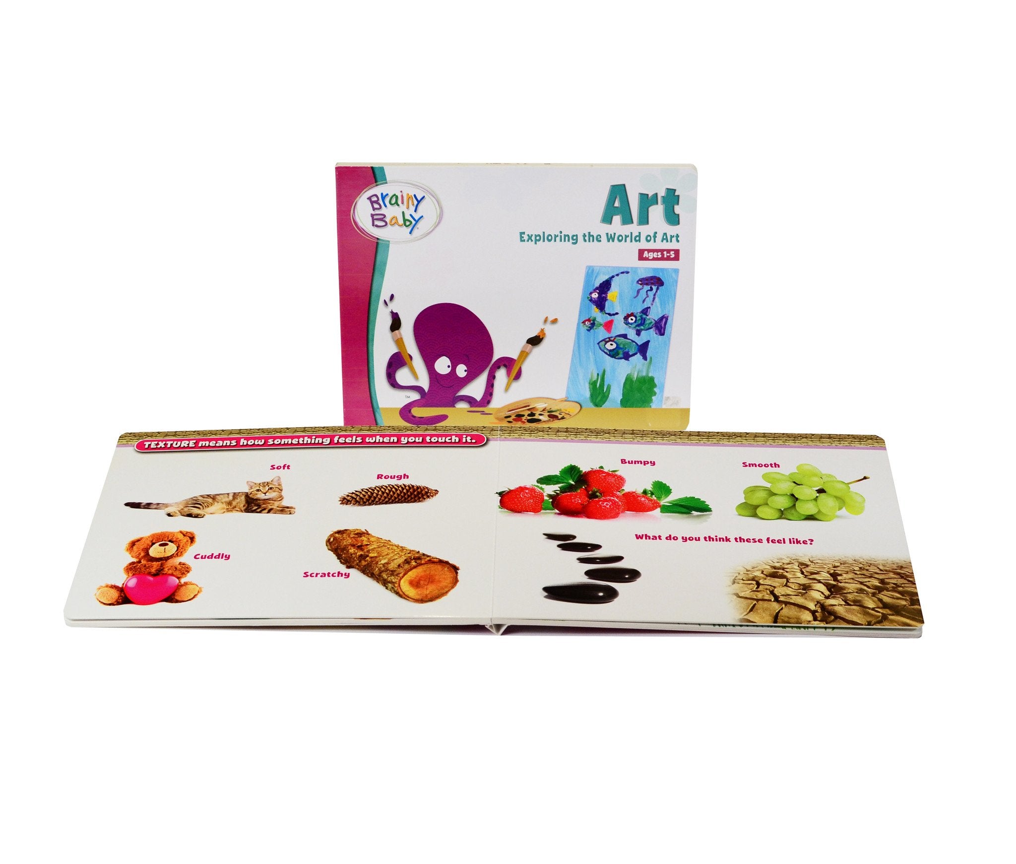 Brainy Baby Art Board Book Exploring the World of Art for Preschool Children