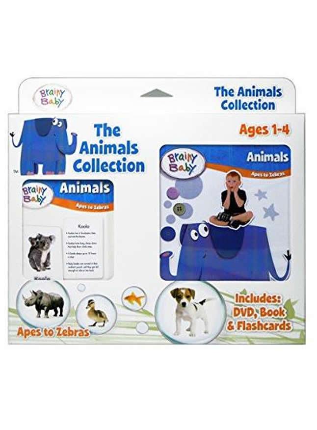 Brainy Baby® Animals Apes to Zebras Board Book, Flashcards & DVD Collection for Preschool Children