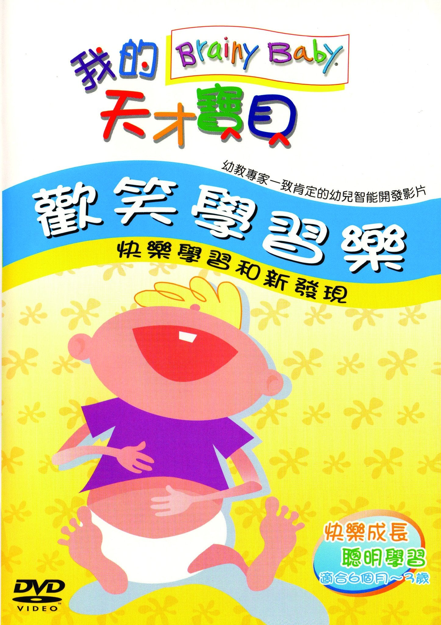 Brainy Baby Chinese Language Laugh & Discover DVD