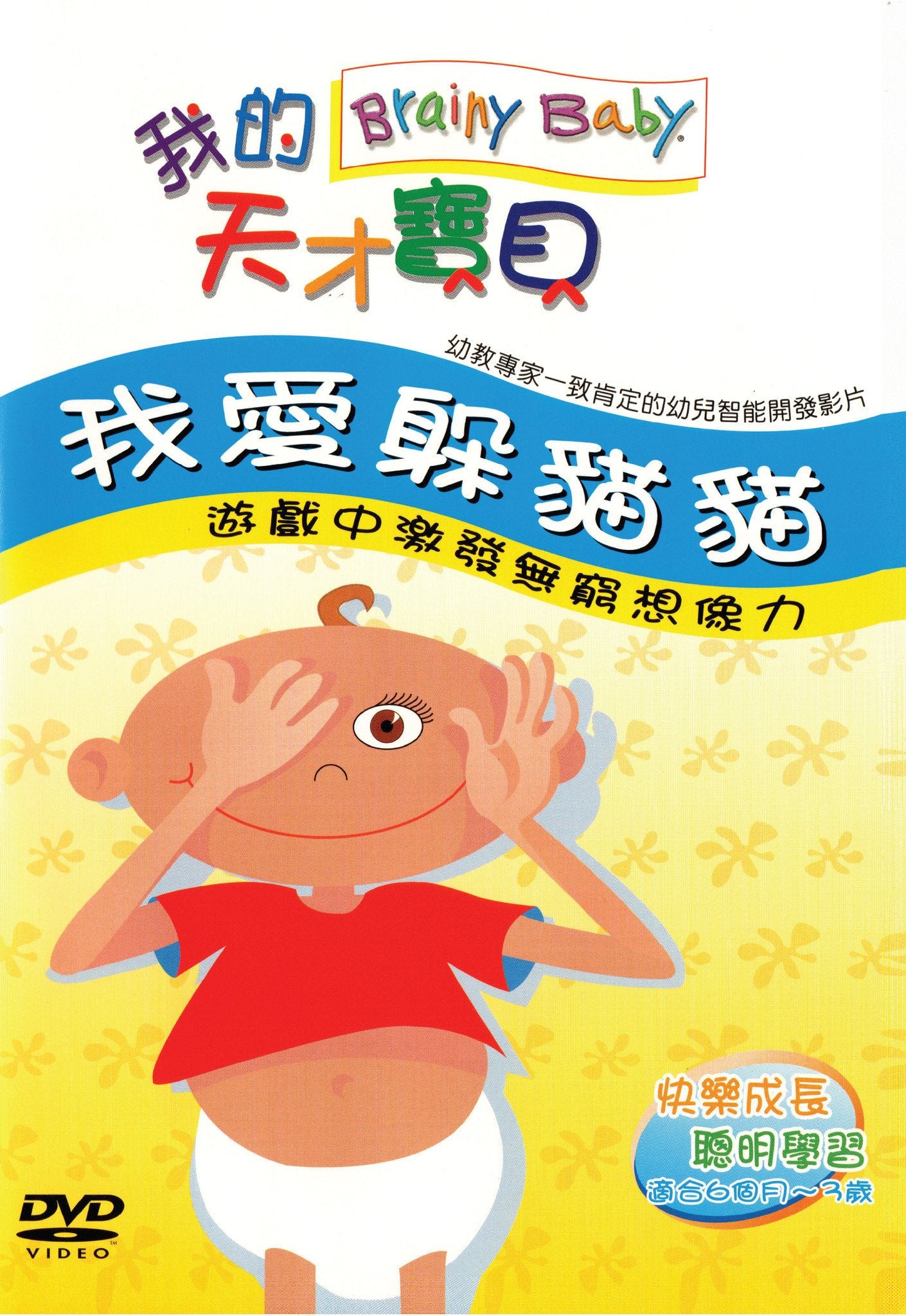 Brainy Baby Chinese Language Peek-a-Boo DVD
