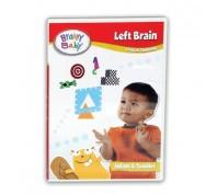 Brainy Baby Right Brain and Left Brain Creative and Logical Thinking DVD Set of 2 Deluxe Edition
