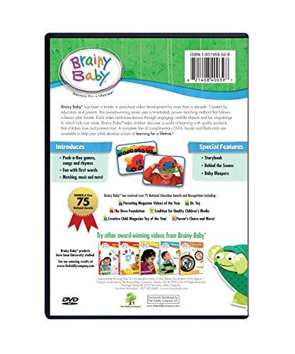 Brainy Baby Peek A Boo Infant DVD Creative Exploration Deluxe Edition back cover