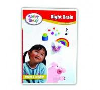 Brainy Baby Right Brain and Left Brain Creative and Logical Thinking DVD Set of 2 Deluxe Edition