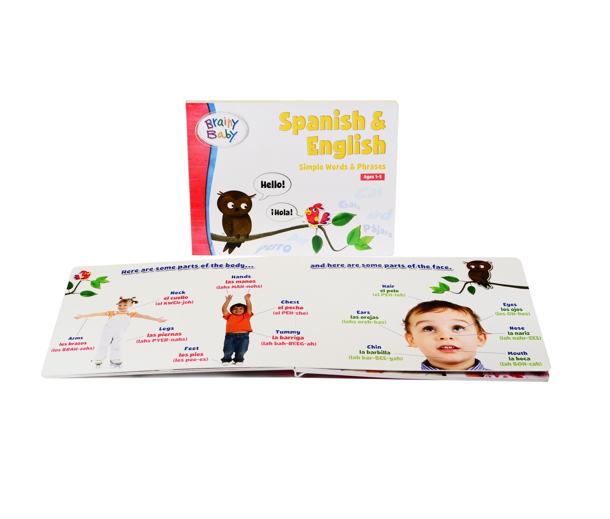 Brainy Baby Spanish & English Board Book Simple Words and Phrases Deluxe Edition